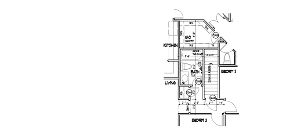 Optional Basement Stair
