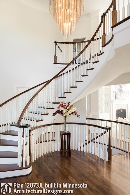 Client Photo id:  225244