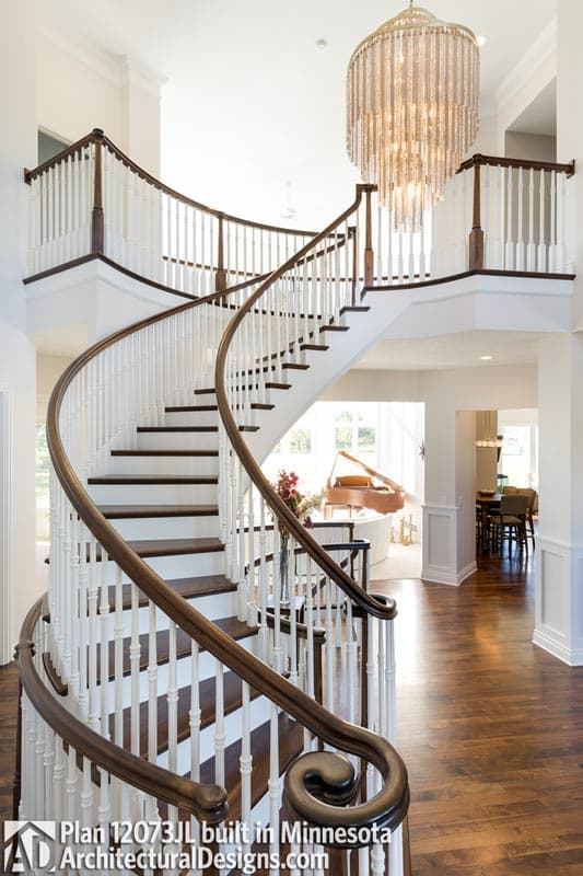 Client Photo id:  225247