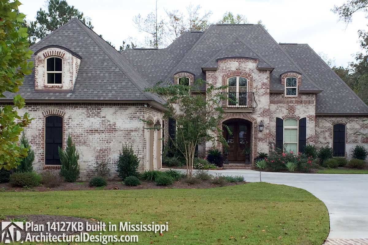 Client Photo id:  266832