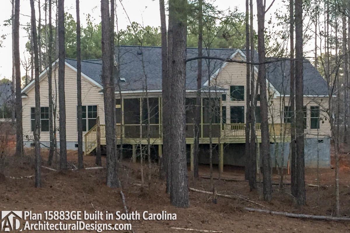 Client Photo id:  250287