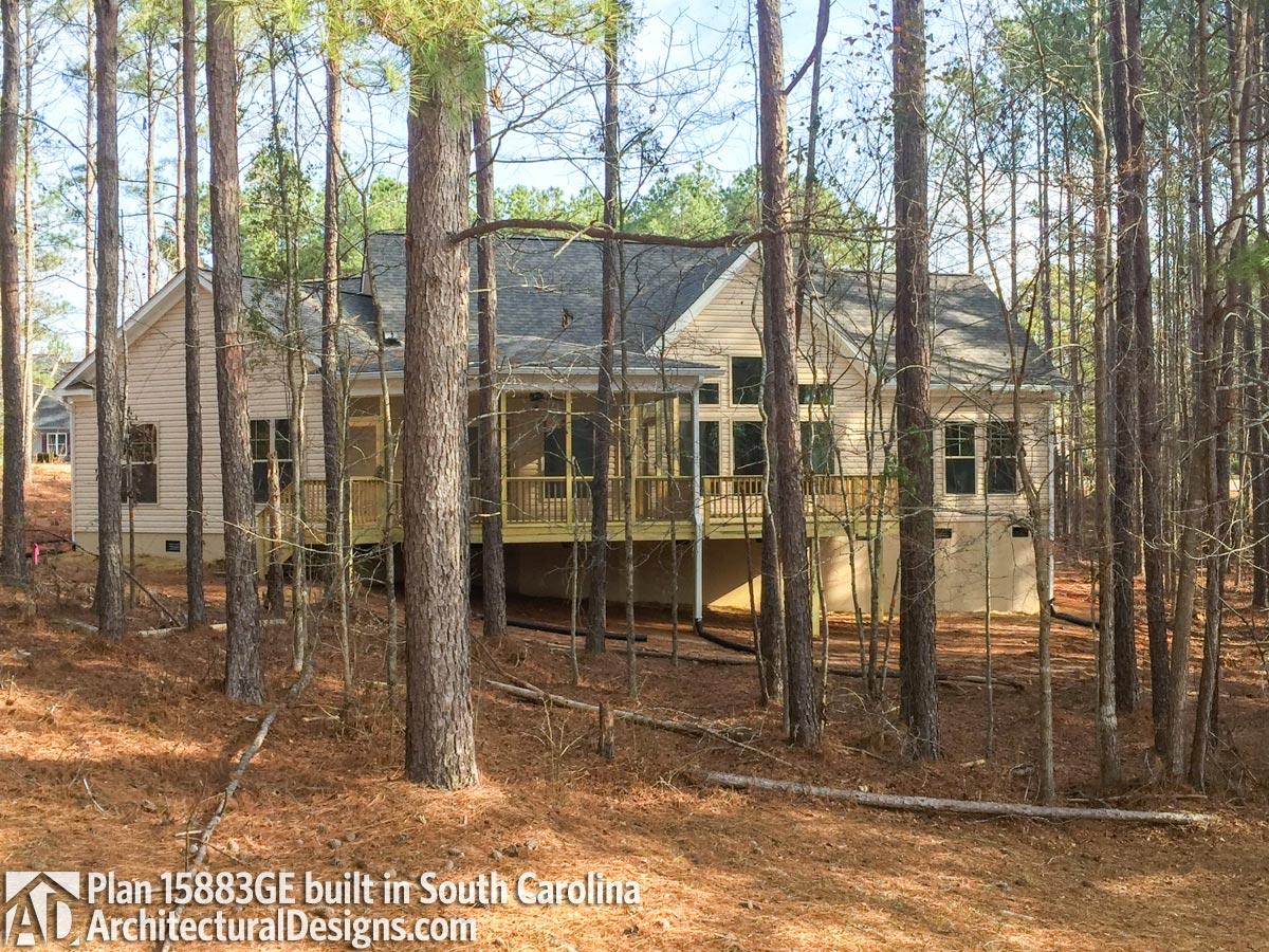 Client Photo id:  250288