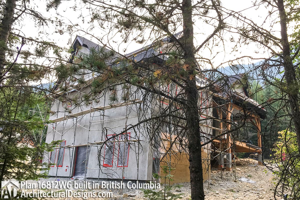 Client Photo id:  220237