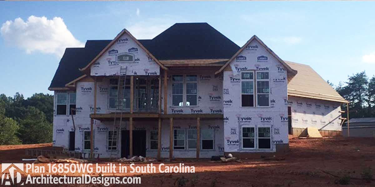 Client Photo id:  191635