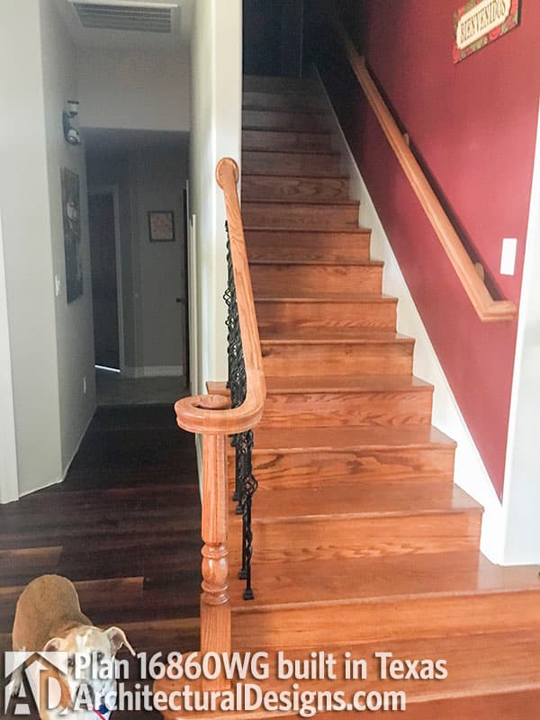 Client Photo id:  232636