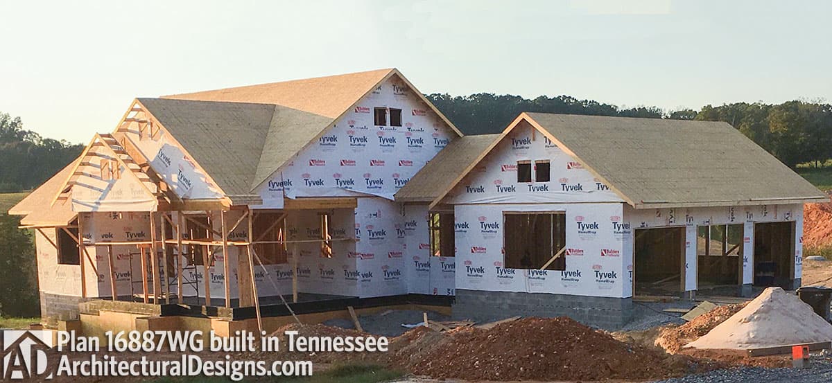 Client Photo id:  265671