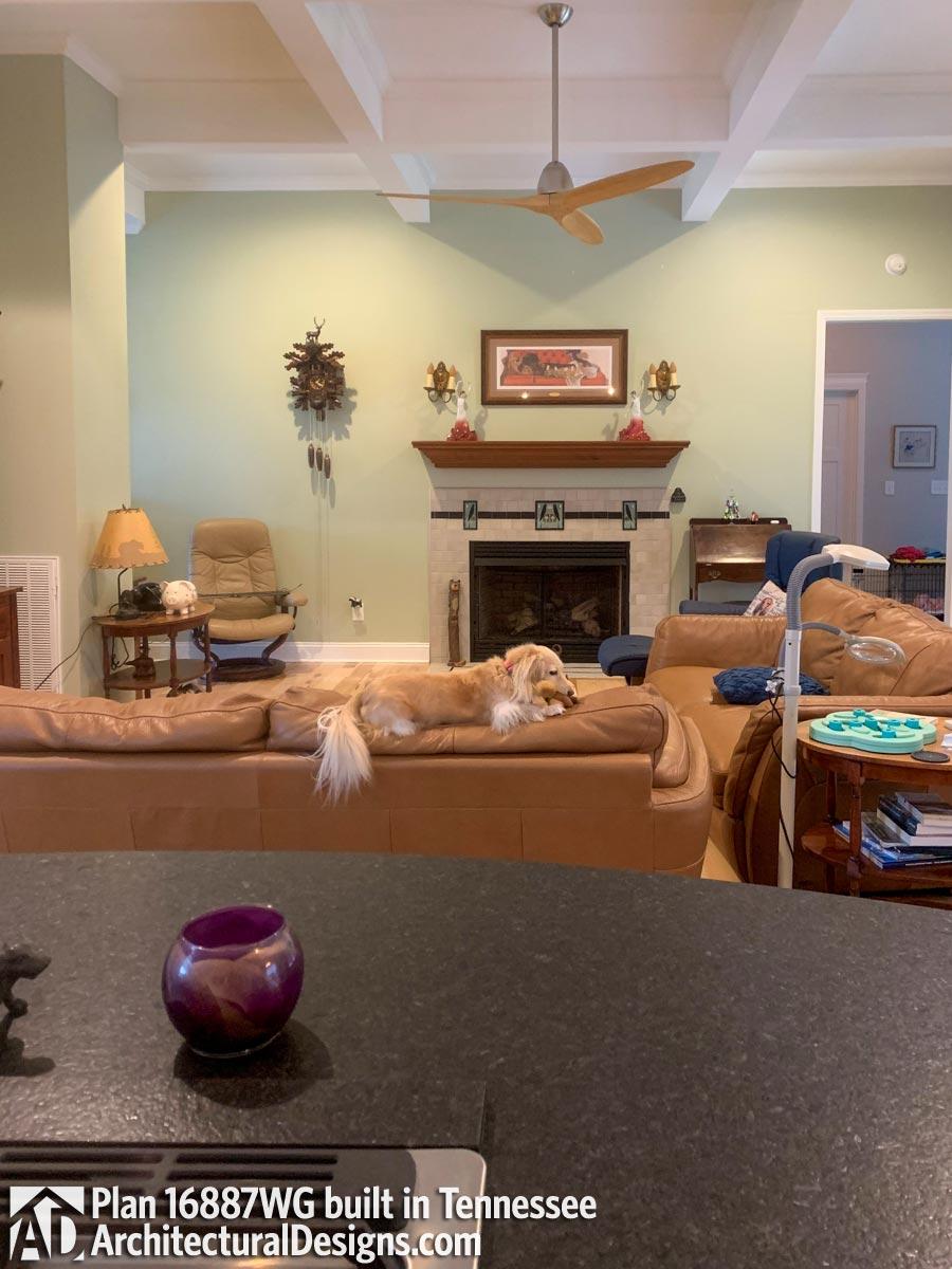 Client Photo id:  387688