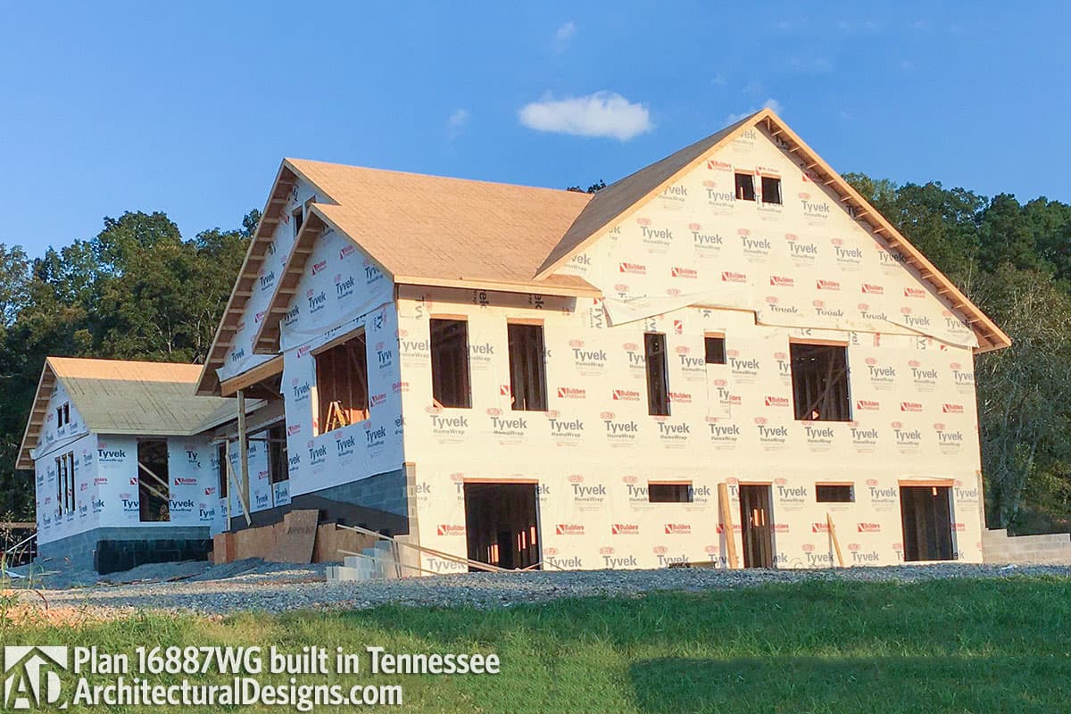 Client Photo id:  265668