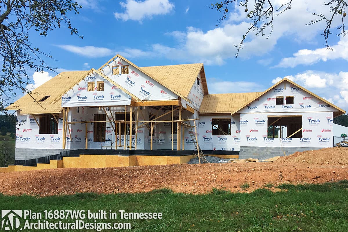 Client Photo id:  265669