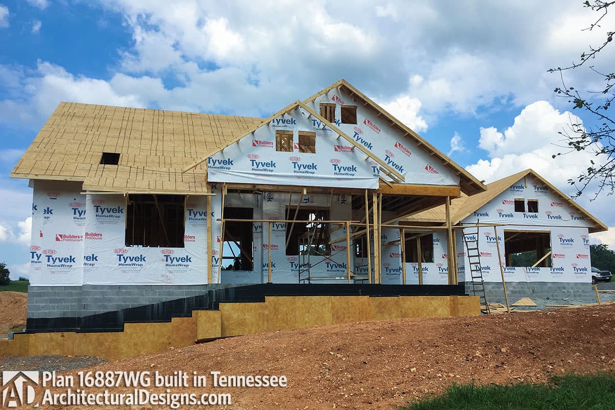 Client Photo id:  265670