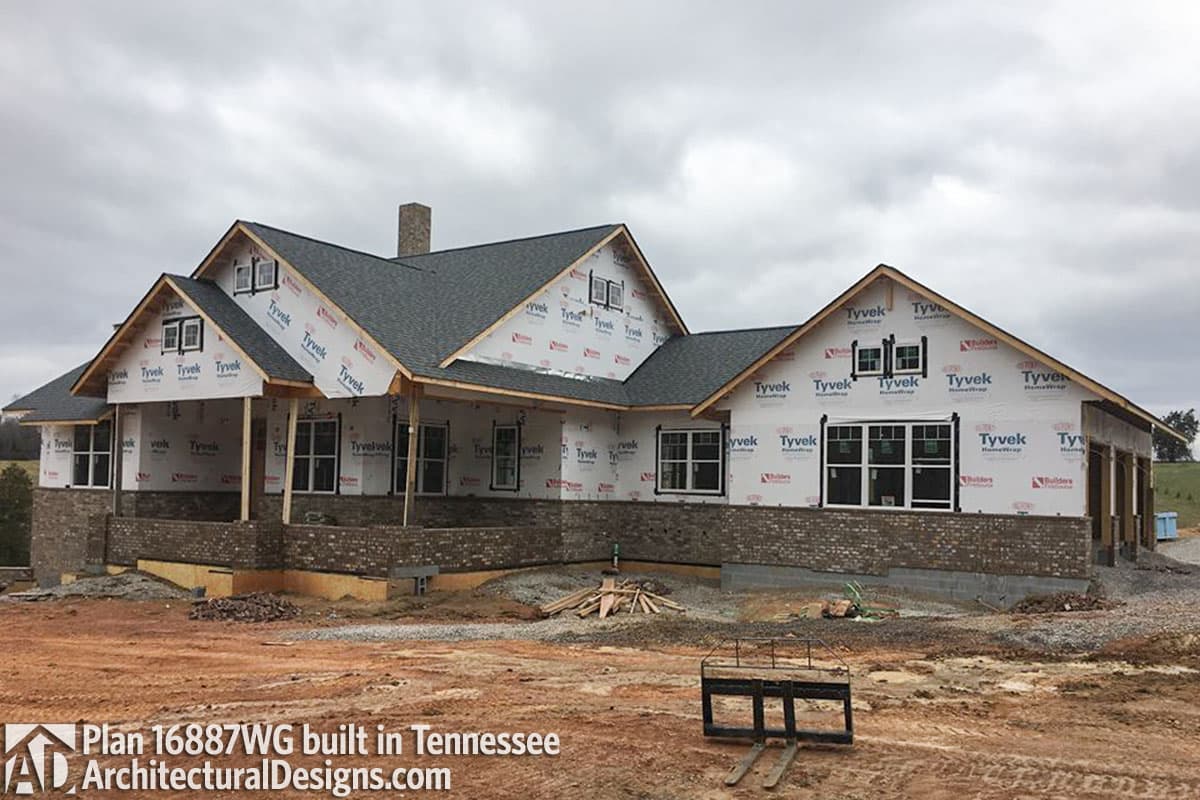 Client Photo id:  272872