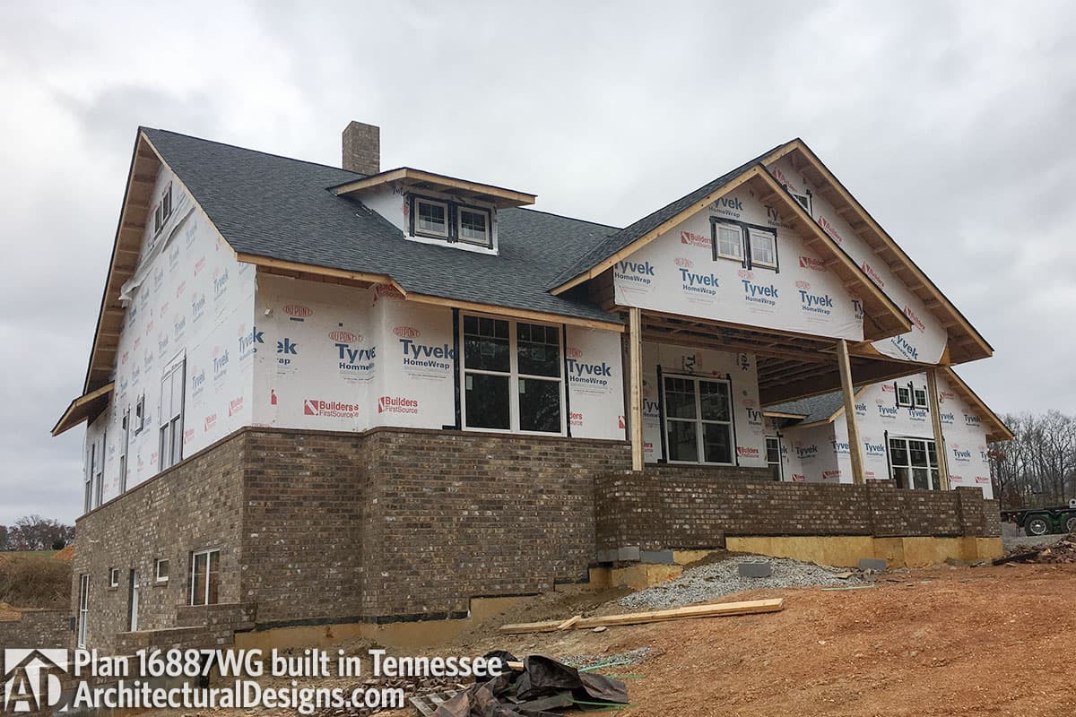 Client Photo id:  272873