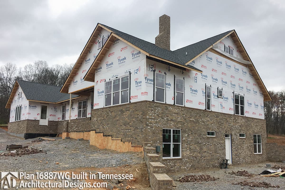 Client Photo id:  272874