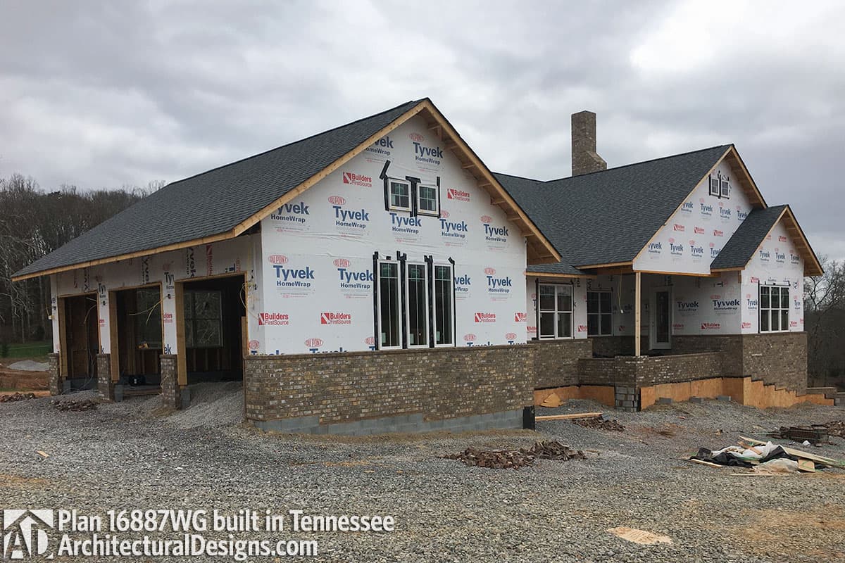 Client Photo id:  272875