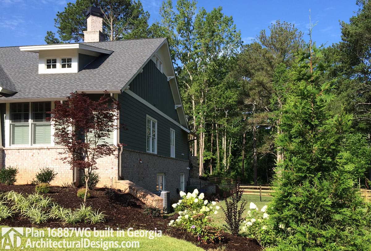 Client Photo id:  264447