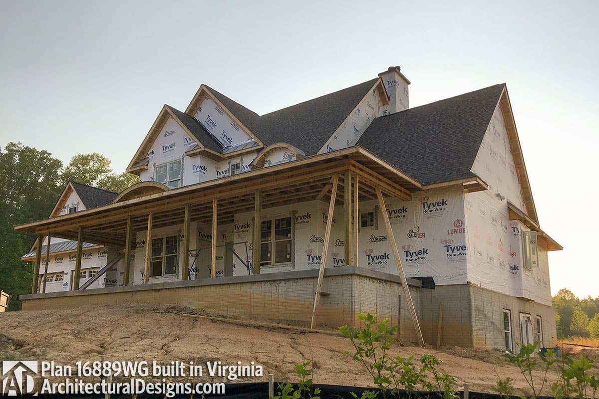 Client Photo id:  248083