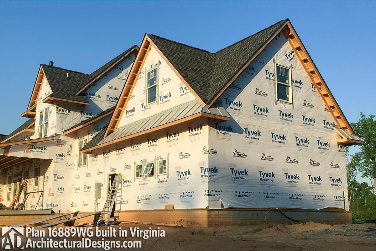 Client Photo id:  248085