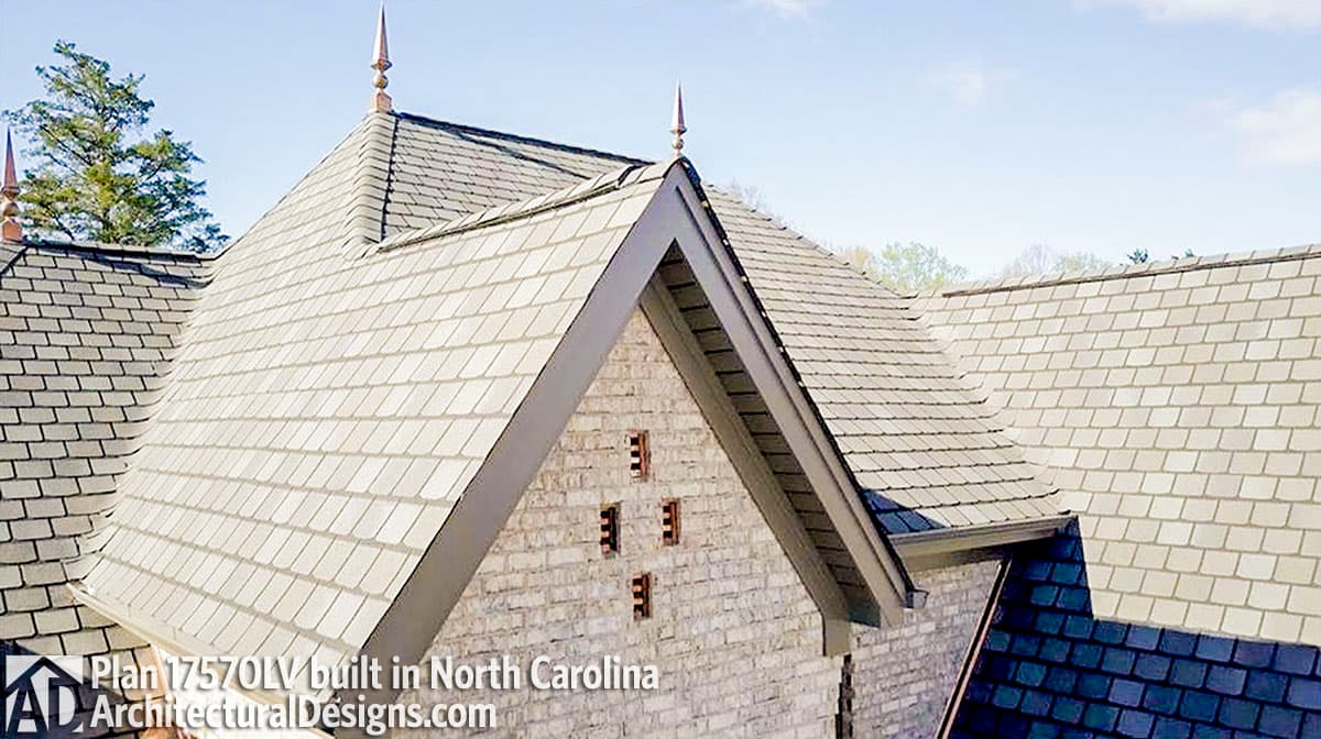 Client Photo id:  230175