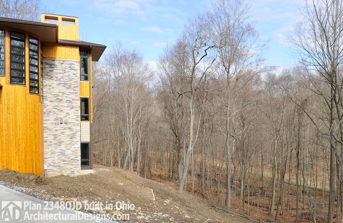 Client Photo id:  191703