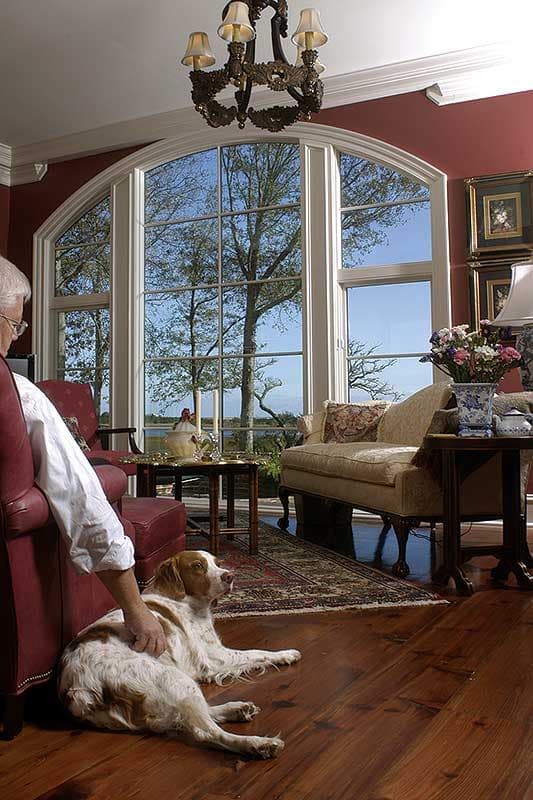Living room with arched multi-pane window, traditional sofa, and dog on rug.