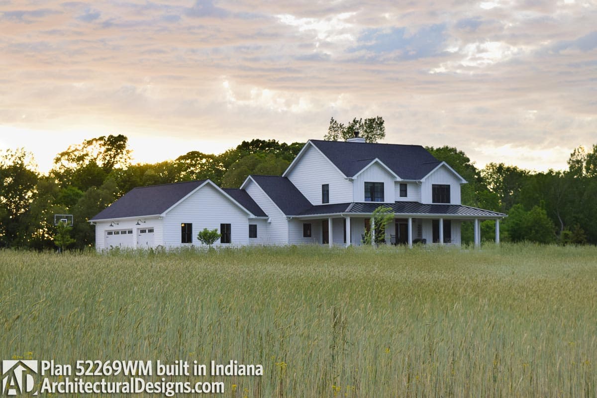 Client Photo id:  337616