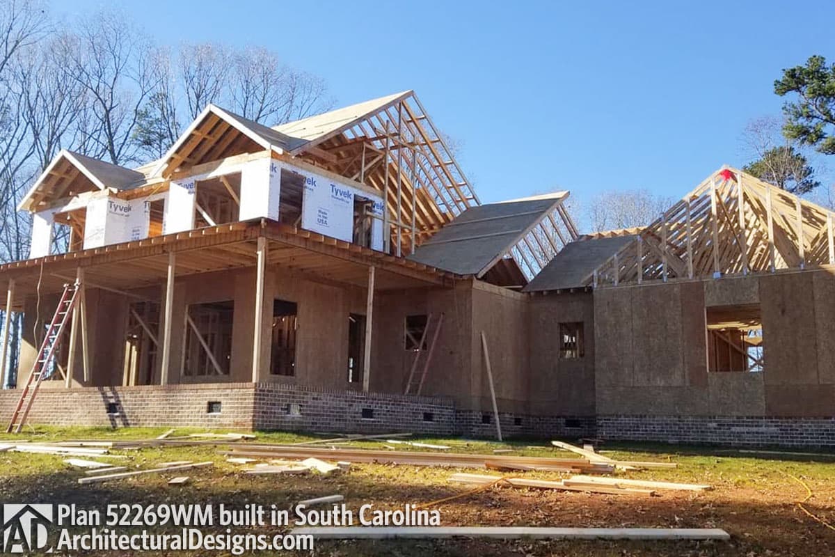 Client Photo id:  284796