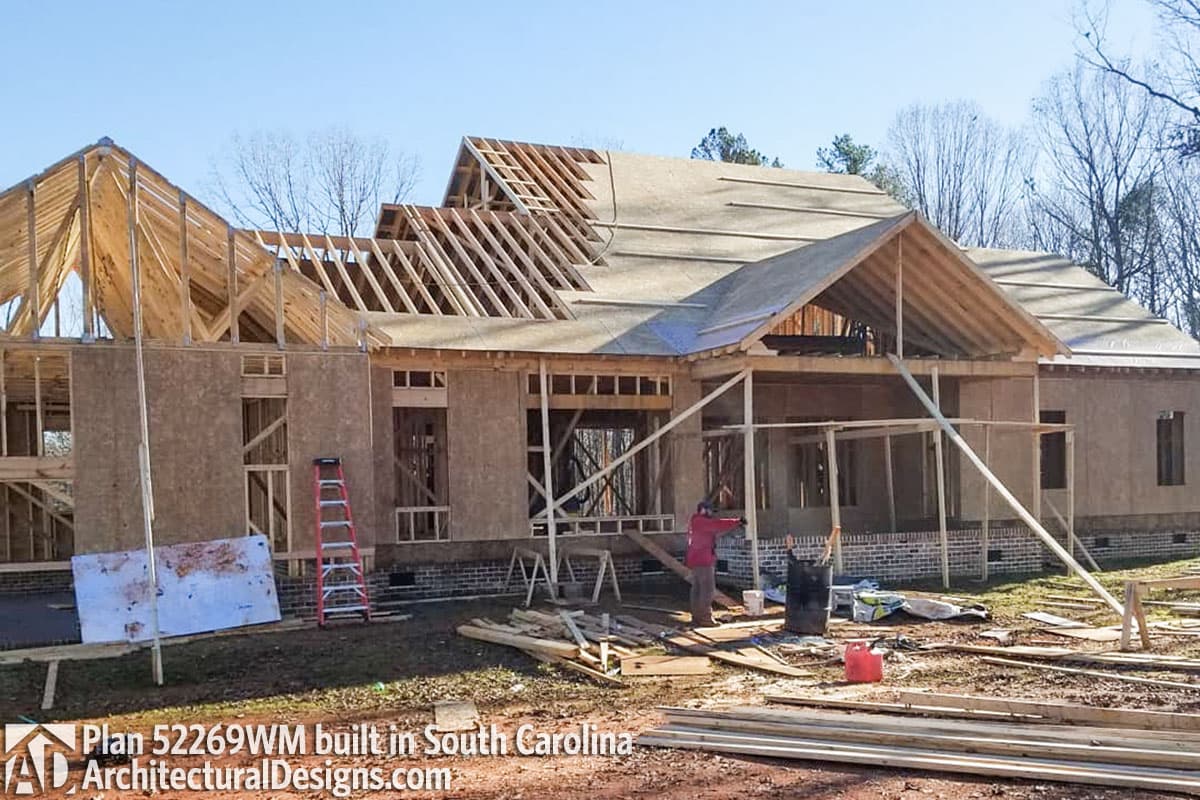 Client Photo id:  284795