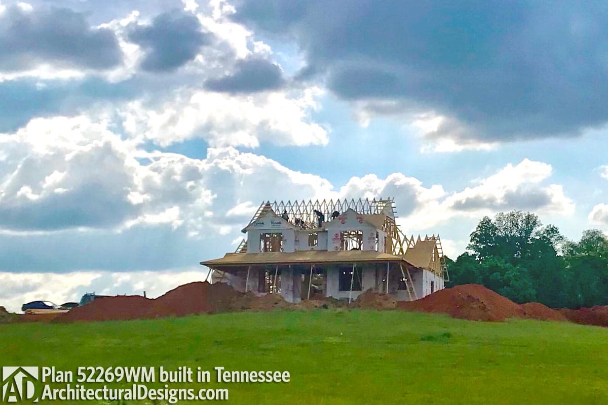 Client Photo id:  276644