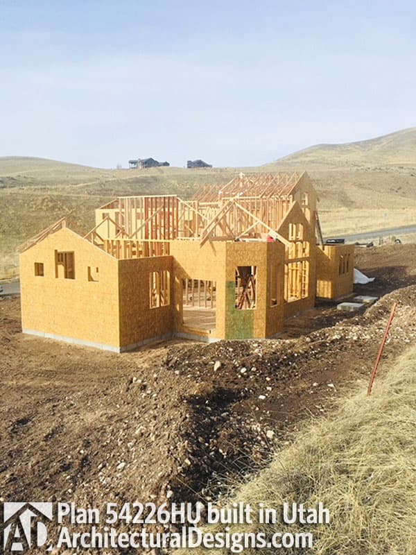 Client Photo id:  237582