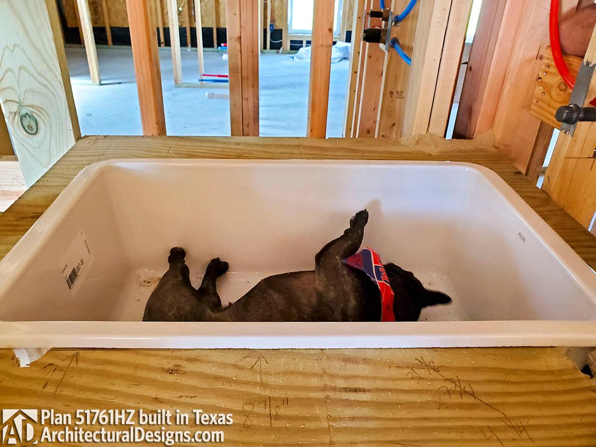 Client Photo id:  368771