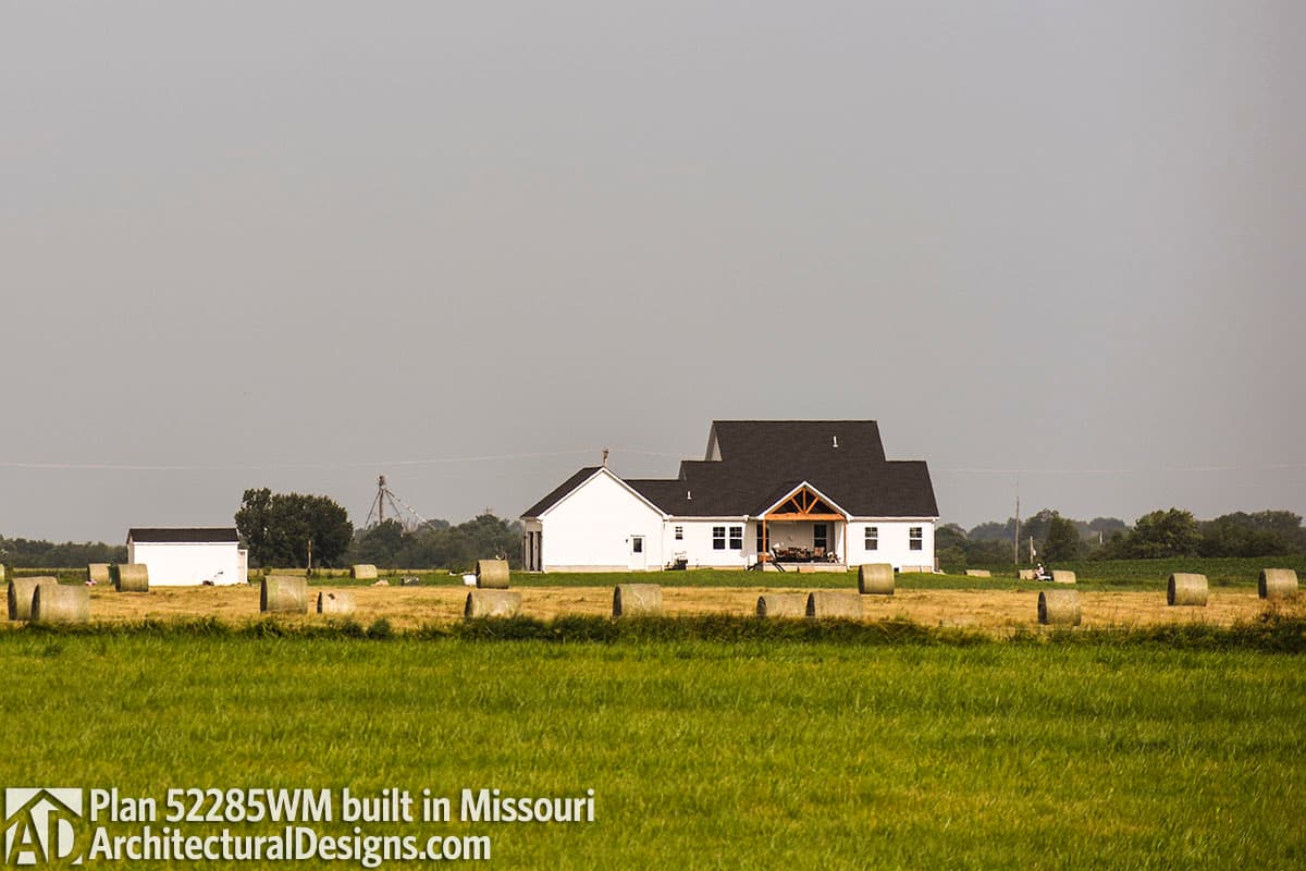 Client Photo id:  254465