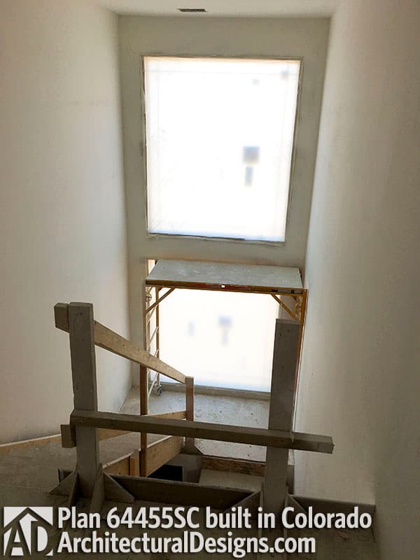 Client Photo id:  303801