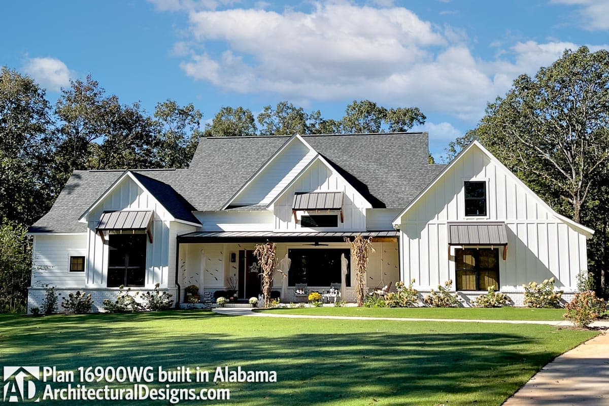 Client Photo id:  384336