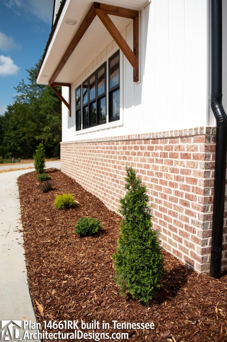 Client Photo id:  347107