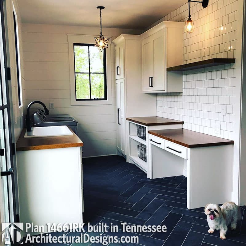 Client Photo id:  299351