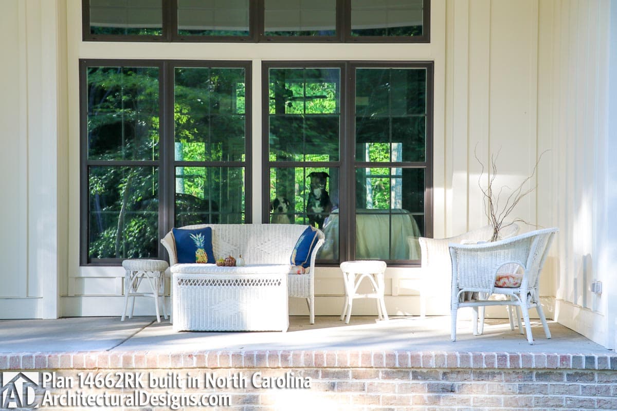 Client Photo id:  381542