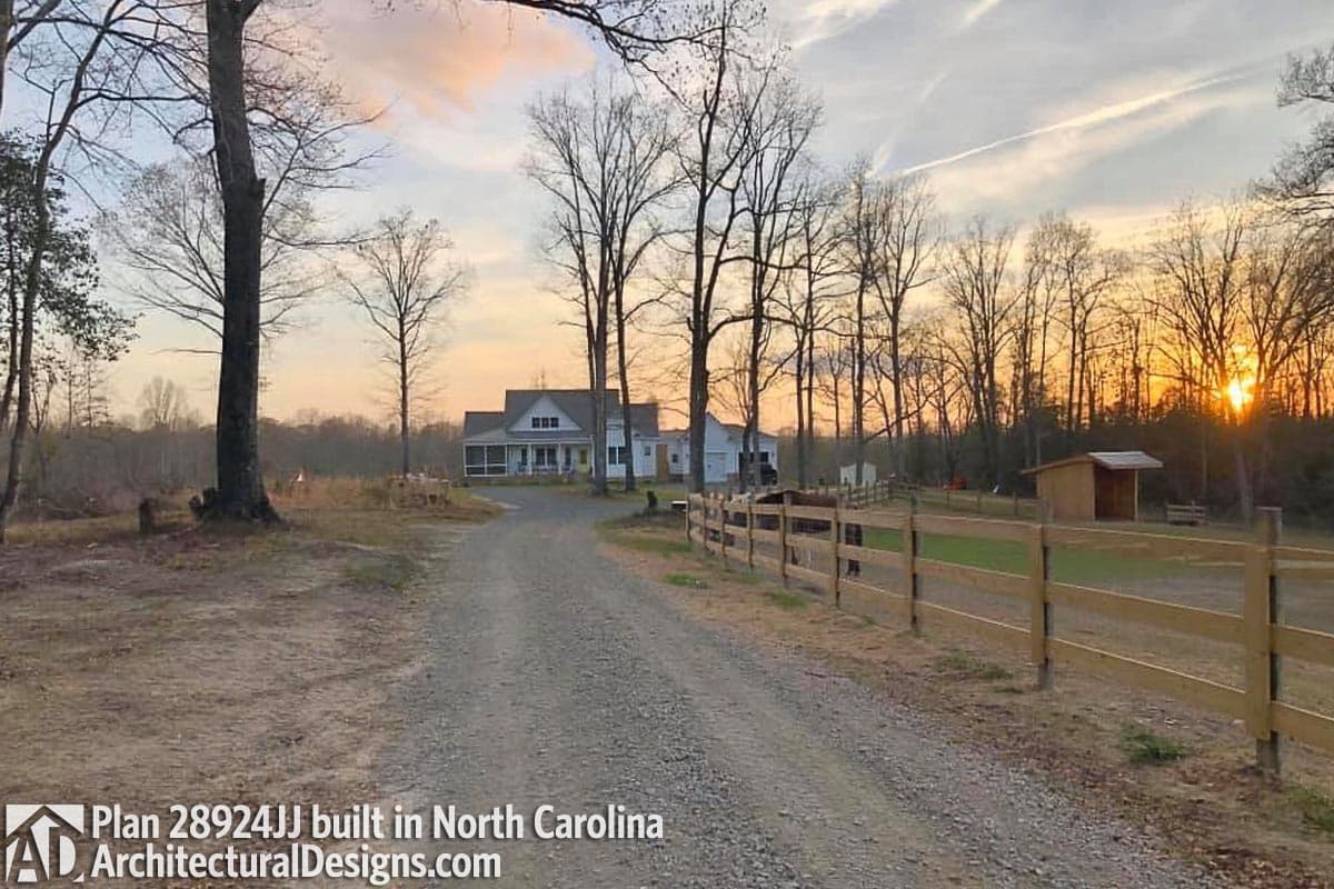 Client Photo id:  337887