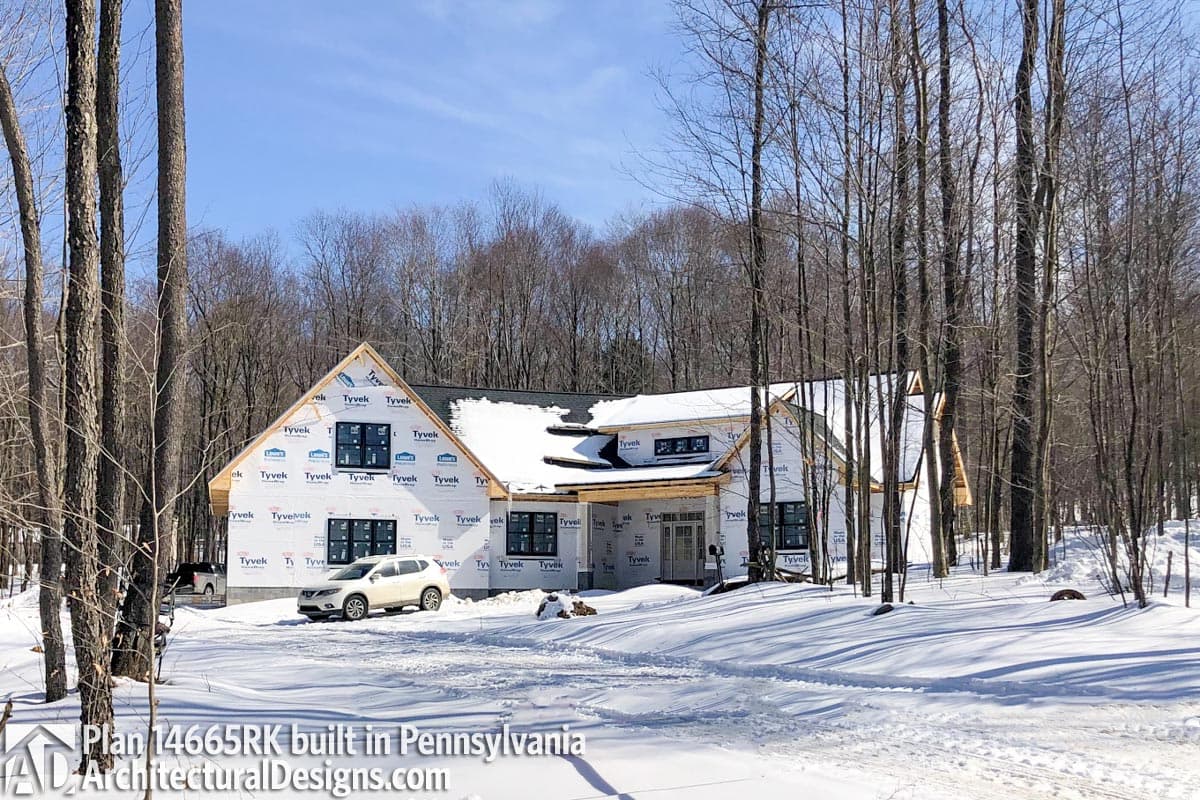 Client Photo id:  285255