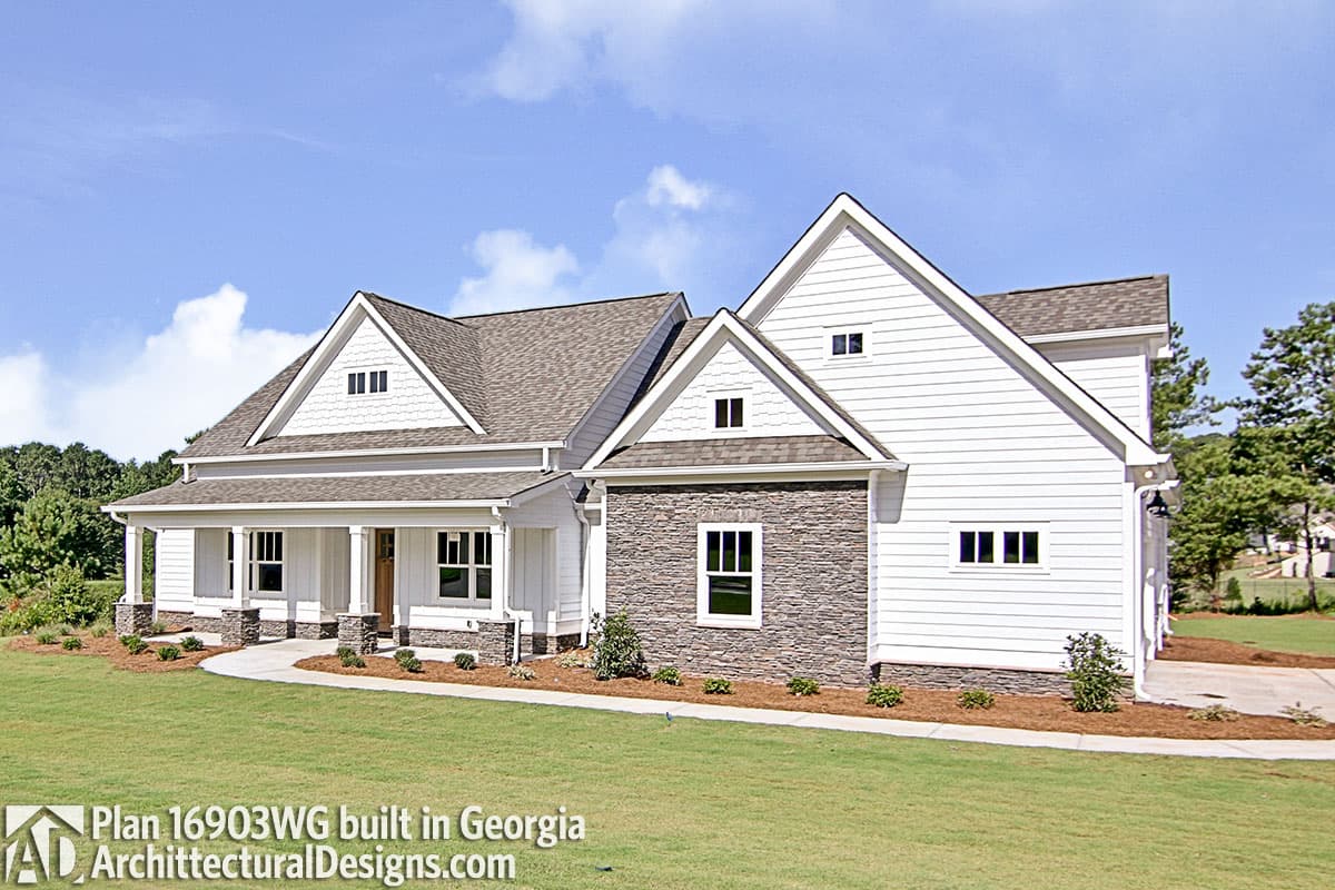 Client Photo id:  313677