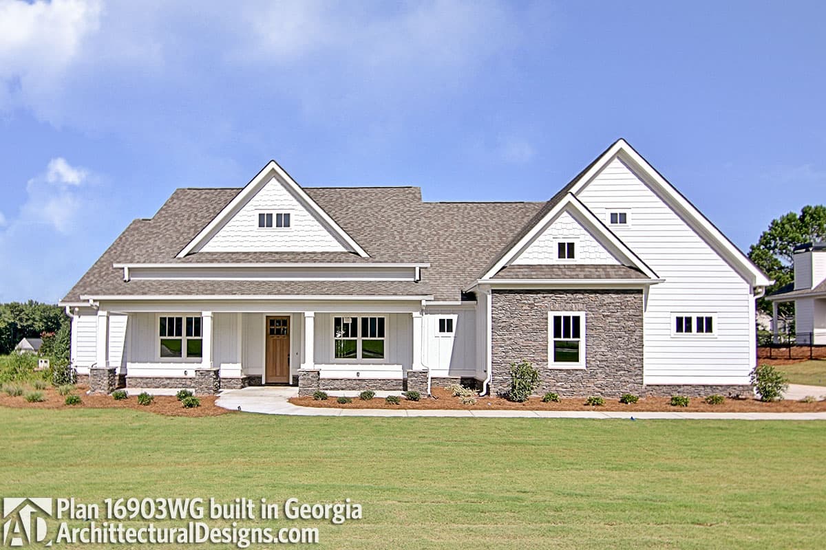 Client Photo id:  313678