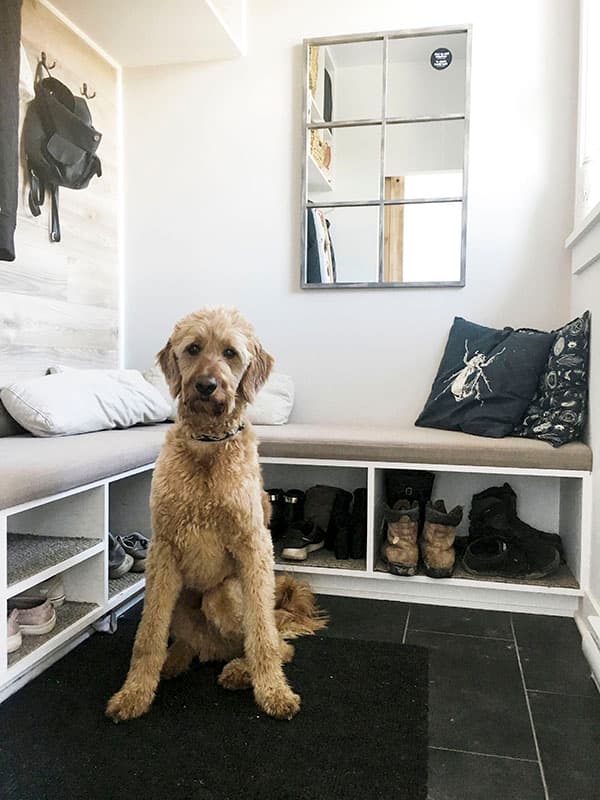 Plan 22535DR: 3-Bed Modern Rugged House Plan with Finished Lower Level - Image #32 - Cape Cod, Contemporary, Cottage, Country, Craftsman, Northwest, Rustic, Vacation