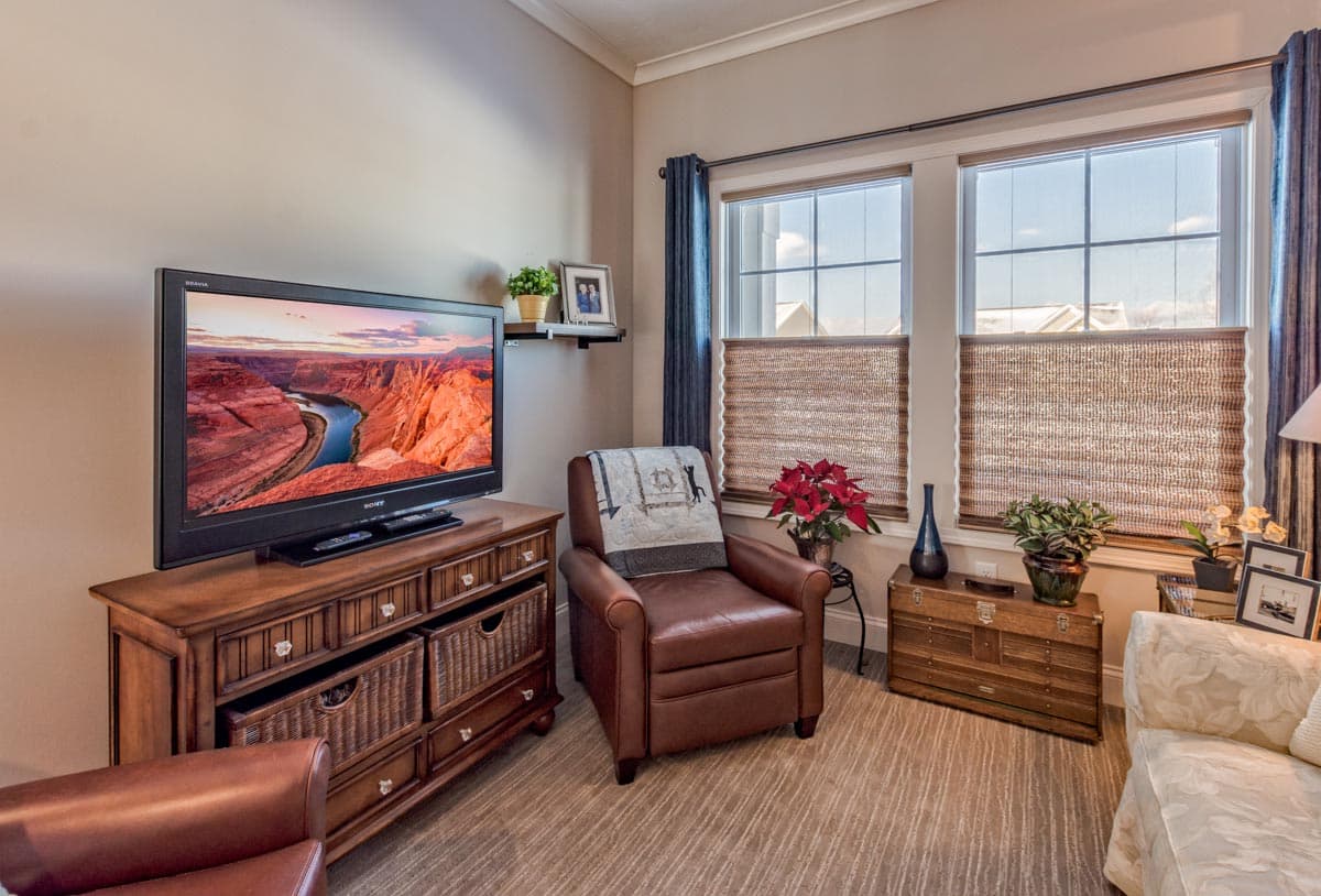 Living room with leather armchair, TV on wooden dresser with woven baskets, and two windows with woven shades.