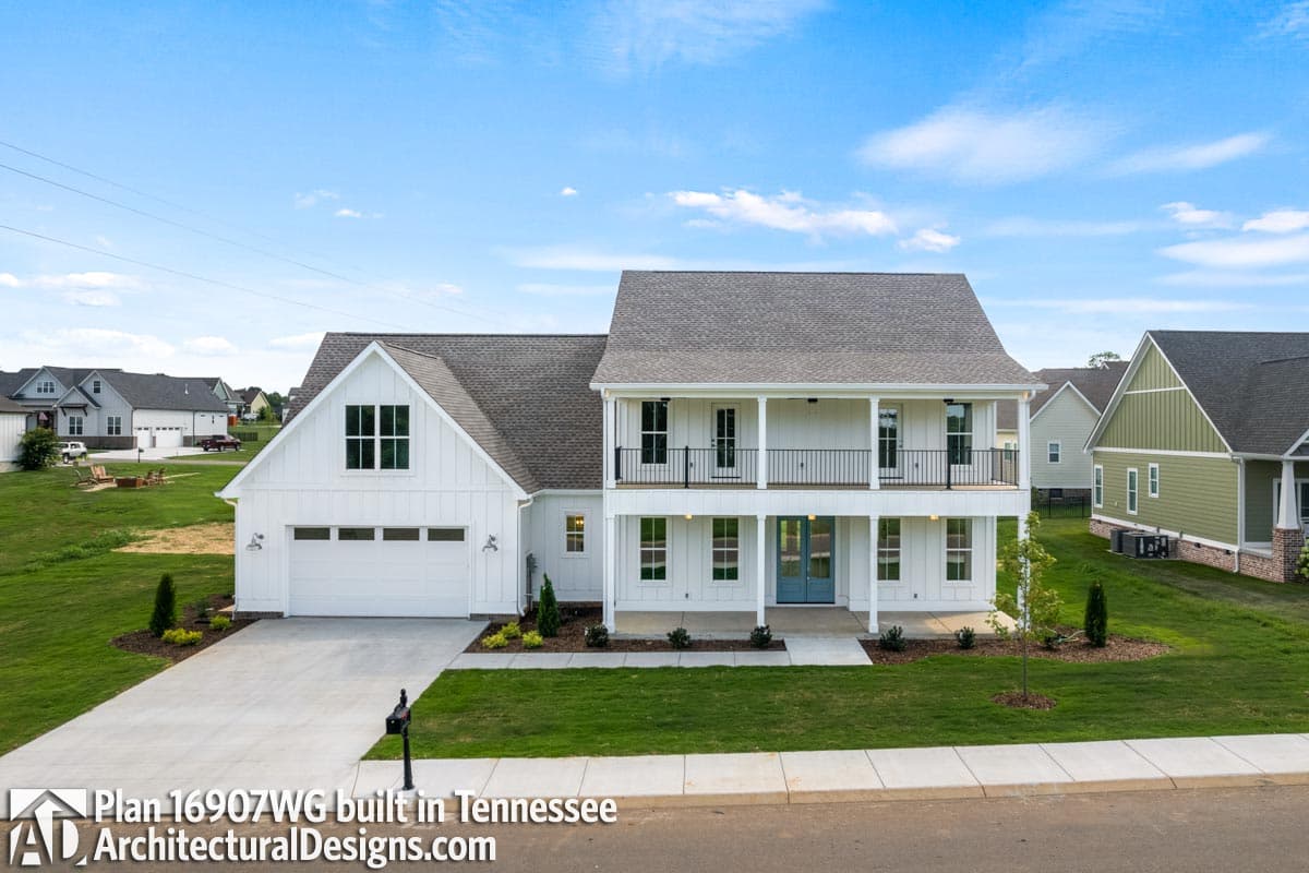 Client Photo id:  420343