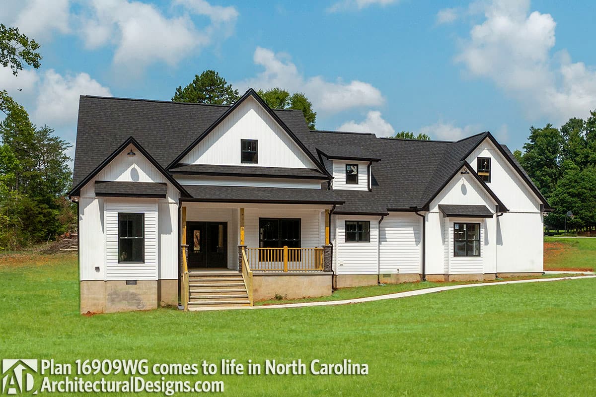 Client Photo id:  378735