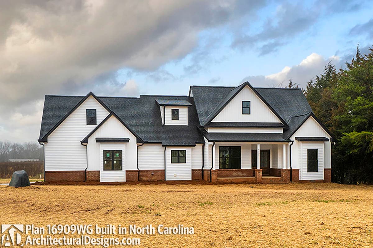 Client Photo id:  366108