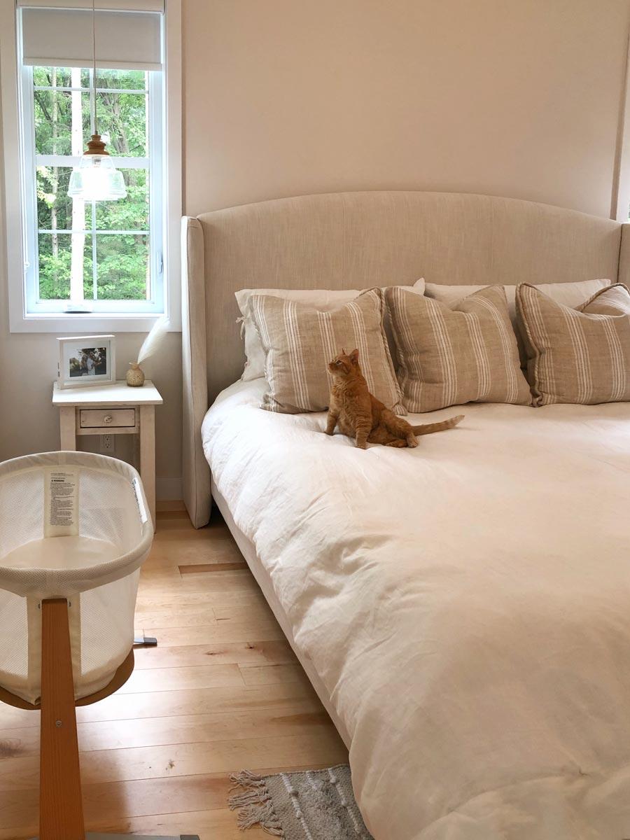 An orange cat sits on a bed with neutral linens in a bright bedroom, a baby bassinet sits nearby, and a window shows the outdoors.