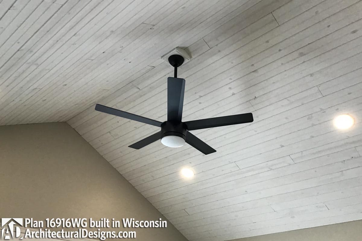 Client Photo id:  444848