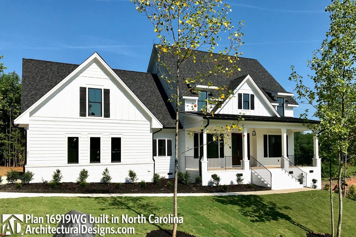 Client Photo id:  383934