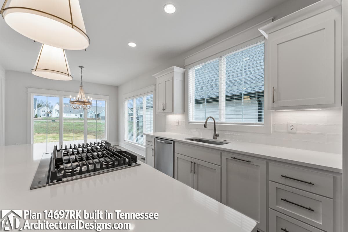 Client Photo id:  489018