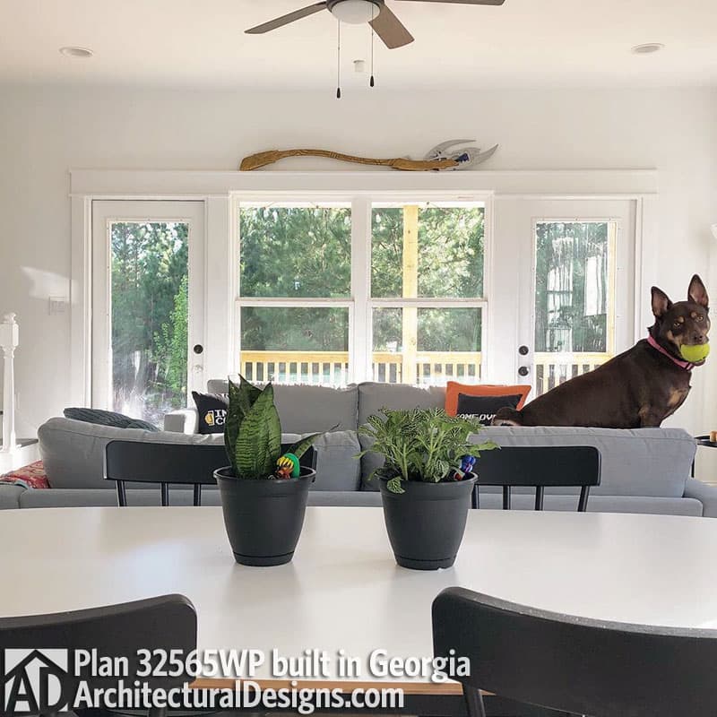 Client Photo id:  302605